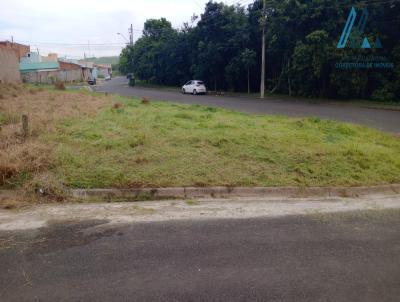 Terreno para Venda, em Salto, bairro Residencial Vila Martins